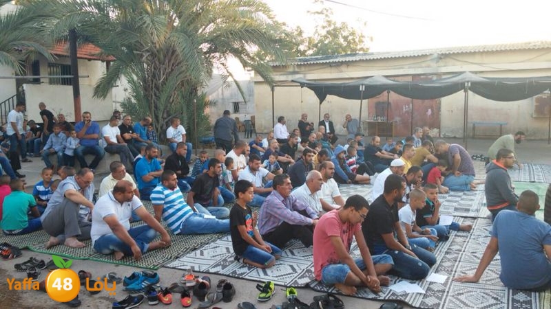 dahmash e33ed (2).JPG